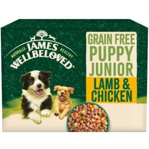 James Wellbeloved Junior Grain-Free Lamb in Gravy 12 Pouches, Hypoallergenic Wet Dog Food for Puppies, Pack of 1 (12x100 g)